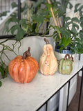 Fall Pumpkin Decor