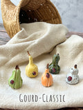 Tiny  Pumpkins & Gourds