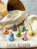 Tiny  Pumpkins & Gourds