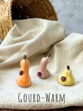 Tiny  Pumpkins & Gourds