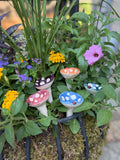 Pollinator Cups