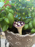 Pollinator Cups