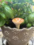Pollinator Cups