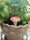 Pollinator Cups