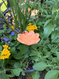 Pollinator Cups