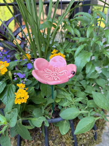 Pollinator Cups
