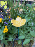 Pollinator Cups