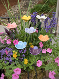 Pollinator Cups