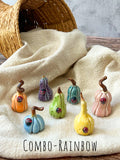 Tiny  Pumpkins & Gourds