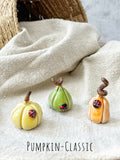 Tiny  Pumpkins & Gourds