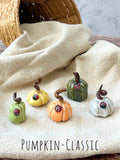 Tiny  Pumpkins & Gourds