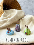 Tiny  Pumpkins & Gourds