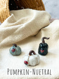 Tiny  Pumpkins & Gourds