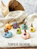 Tiny  Pumpkins & Gourds