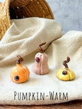 Tiny  Pumpkins & Gourds