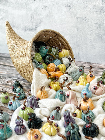 Tiny  Pumpkins & Gourds