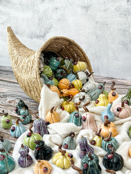 Tiny  Pumpkins & Gourds