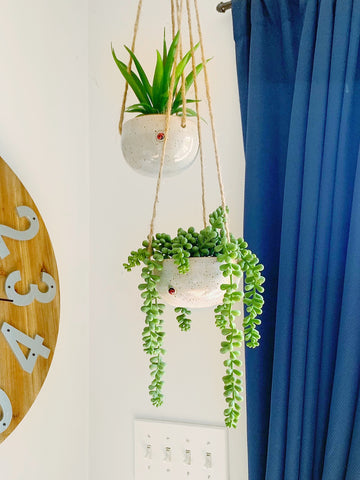 big hanging planter Hanging Basket