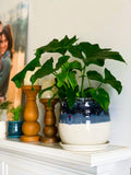 Planters Sm-Lg