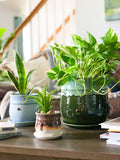 Planters Sm-Lg